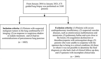 Supplementary benefits of CT-guided transthoracic lung aspiration biopsy for core needle biopsy